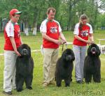 Превью фото № 42232