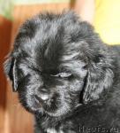 Превью фото № 42270