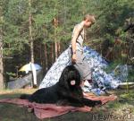 Превью фото № 4250