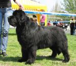 Превью фото № 42639