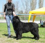 Превью фото № 42640