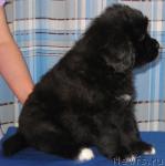 Превью фото № 42870