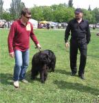 Превью фото № 43054