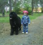 Превью фото № 43142