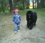 Превью фото № 43144