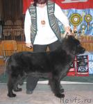 Превью фото № 4323