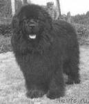 Превью фото № 4324