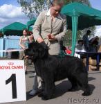 Превью фото № 43313