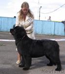 Превью фото № 43316