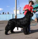 Превью фото № 43318