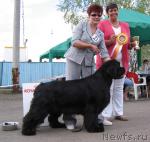 Превью фото № 43323