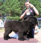 Превью фото № 4338