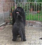 Превью фото № 43407