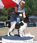 Превью фото № 4342