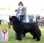 Превью фото № 43467