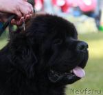 Превью фото № 43469