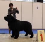 Превью фото № 43480