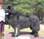 Превью фото № 4353