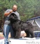 Превью фото № 4355