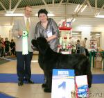 Превью фото № 43690