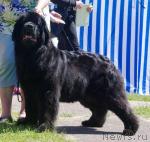 Превью фото № 43697