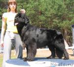 Превью фото № 4370