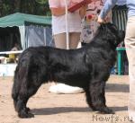 Превью фото № 4371