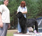 Превью фото № 4376