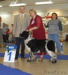 Превью фото № 43761