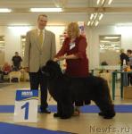 Превью фото № 43763