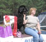 Превью фото № 4379