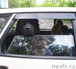 Превью фото № 43816