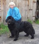 Превью фото № 43817