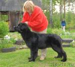 Превью фото № 43844