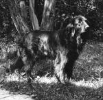 Превью фото № 44057