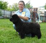 Превью фото № 44070