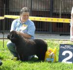 Превью фото № 44074