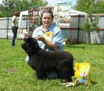 Превью фото № 44075