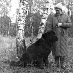 Превью фото № 44177