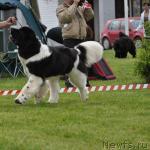 Превью фото № 44429