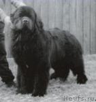 Превью фото № 44435