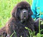 Превью фото № 44460