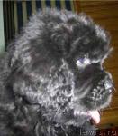 Превью фото № 4449