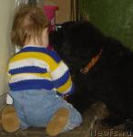 Превью фото № 44496