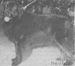 Превью фото № 4461