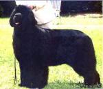 Превью фото № 44683