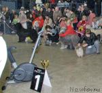 Превью фото № 44712