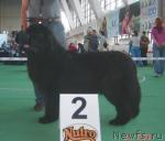 Превью фото № 4472