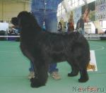 Превью фото № 4476