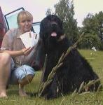 Превью фото № 44831